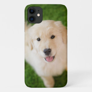 Golden Retriever Puppy on Grass iPhone 11 Case