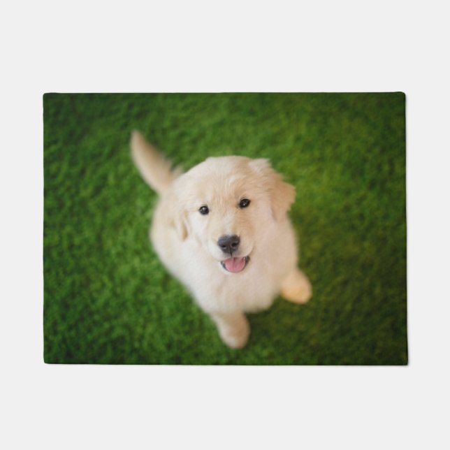 Golden Retriever Puppy on Grass Doormat (Front)