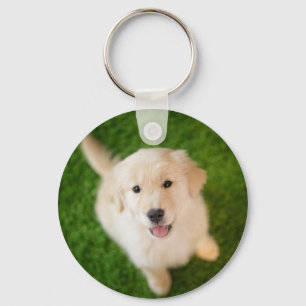 Golden Retriever Puppy on Grass Key Ring