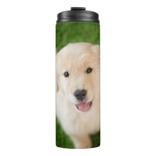 Golden Retriever Puppy on Grass Thermal Tumbler