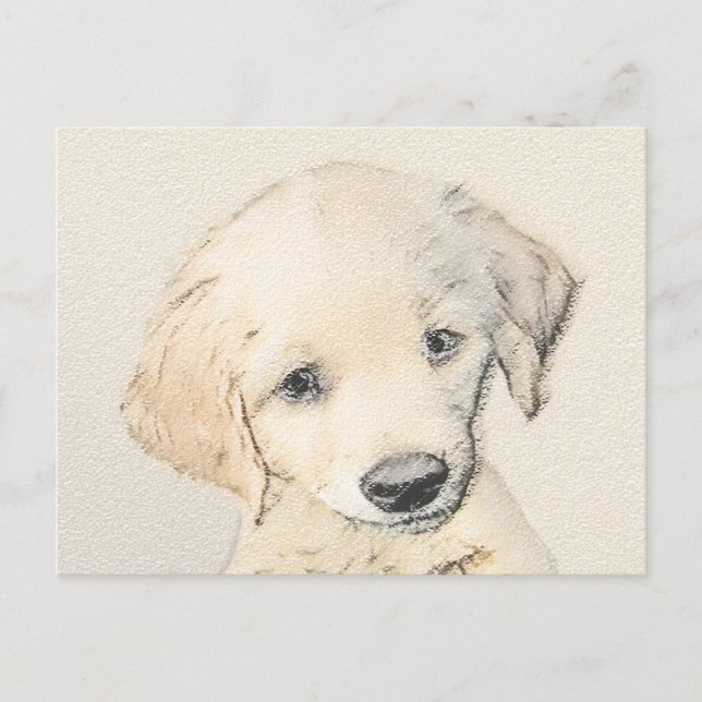Golden Retriever Puppy Painting - Original Dog Art Postcard (Front)
