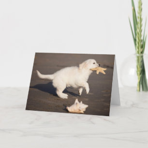 Golden Retriever Puppy Photo Card