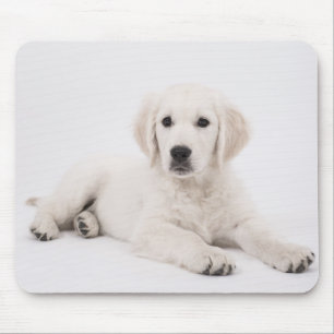 Golden Retriever Puppy Photo Mouse Pad
