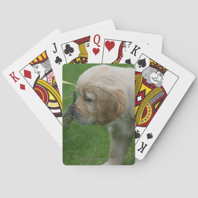 Golden Retriever Puppy Playing Cards (Back)