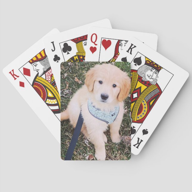 Golden Retriever Puppy Playing Cards (Back)