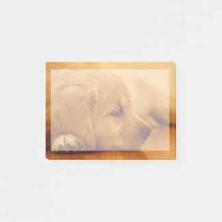 Golden Retriever Puppy Post-it Notes