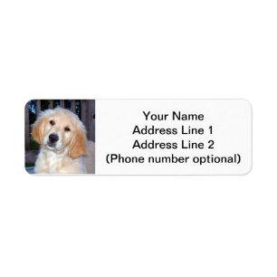 Golden Retriever Puppy Return Address Label