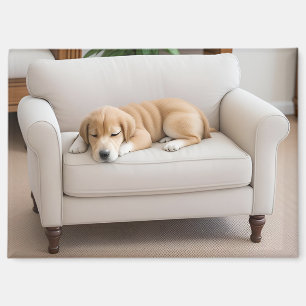Golden Retriever Puppy Sleeping Magnet
