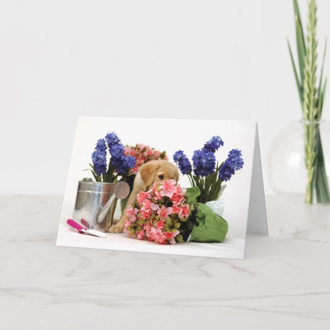 Golden Retriever Puppy Smelling the Flowers Card (Front)
