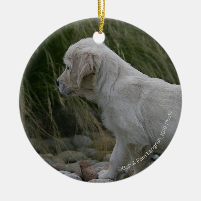 Golden Retriever Puppy Standing Ceramic Tree Decoration (Front)