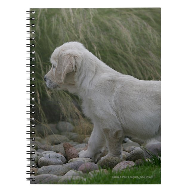 Golden Retriever Puppy Standing Notebook (Front)