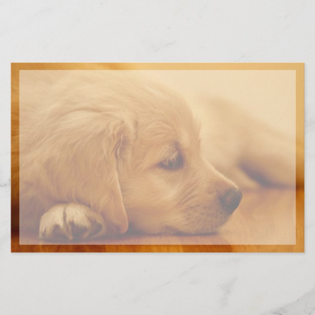 Golden Retriever Puppy Stationery (Front)