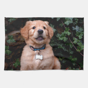 Golden Retriever Puppy Tea Towel