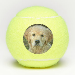 Golden Retriever Puppy Tennis Balls