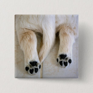 Golden Retriever Puppy Toes 15 Cm Square Badge