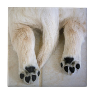 Golden Retriever Puppy Toes Ceramic Tile