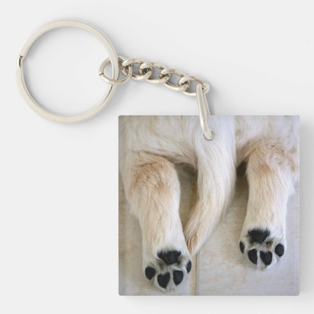 Golden Retriever Puppy Toes Key Ring (Front)