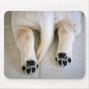 Golden Retriever Puppy Toes Mouse Pad