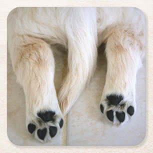 Golden Retriever Puppy Toes Square Paper Coaster