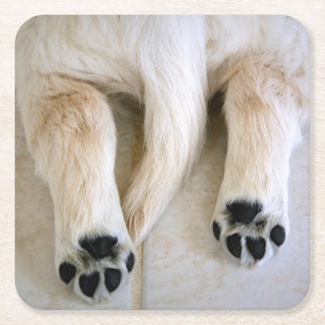Golden Retriever Puppy Toes Square Paper Coaster (Front)