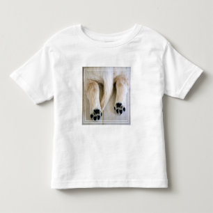 Golden Retriever Puppy Toes Toddler T-Shirt