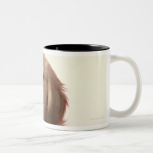 Golden retriever puppy Two-Tone coffee mug