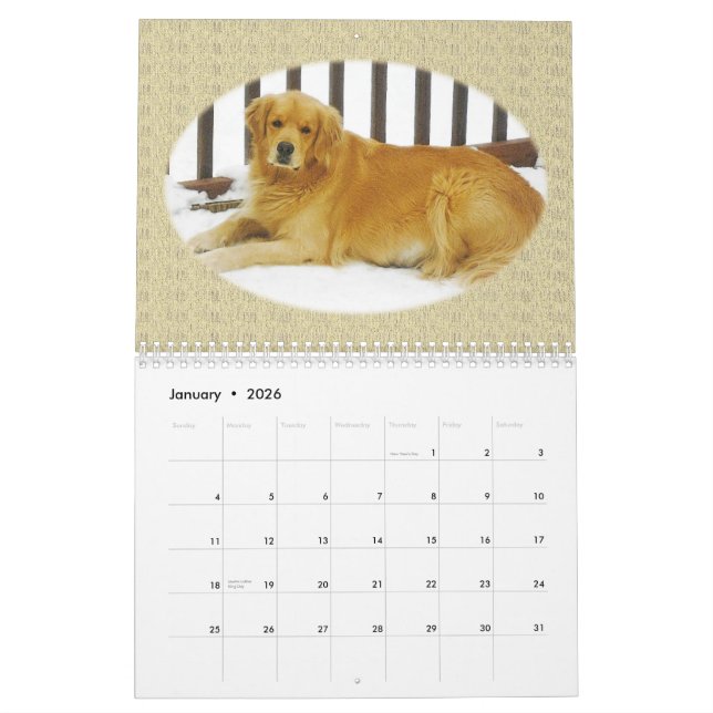 Golden Retriever Puppy Wall Calendar (Jan 2026)