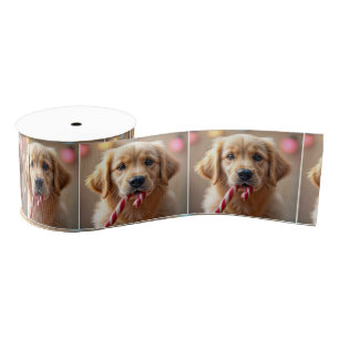 Golden Retriever Puppy With a Candy Cane Grosgrain Ribbon