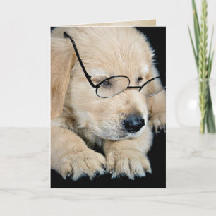 Golden Retriever puppy with glasses Card