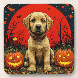 Golden Retriever Puppy With Halloween Pumpkins Coaster