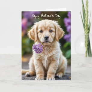 Golden Retriever Puppy With Lilacs Card