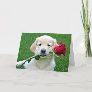 Golden Retriever Puppy with Red Rose Card
