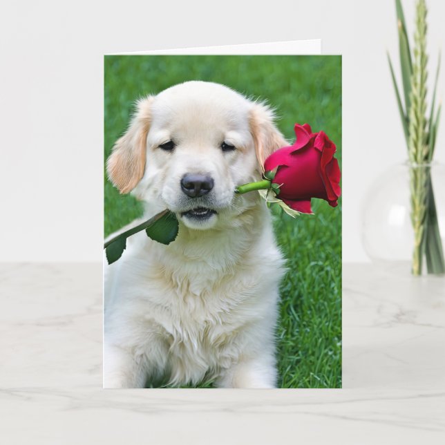 Golden Retriever Puppy with Red Rose Card (Front)