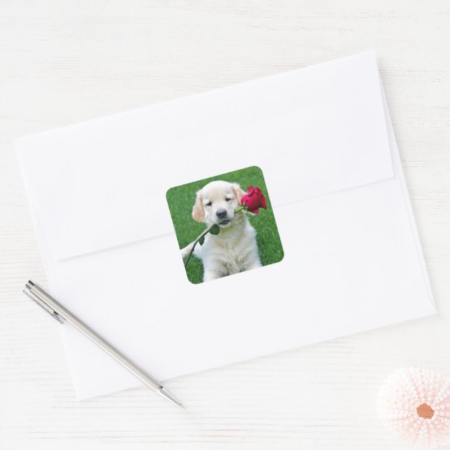 Golden Retriever Puppy with Red Rose Square Sticker (Envelope)
