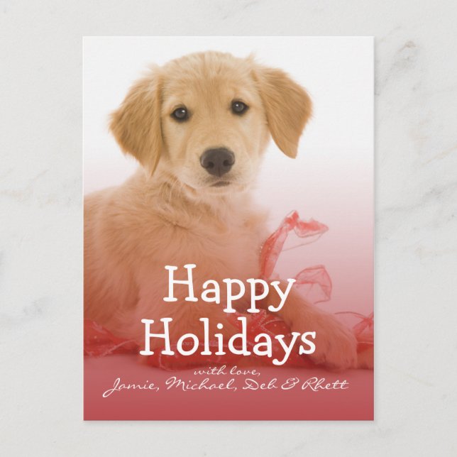 Golden Retriever puppy with ribbon Holiday Postcard (Front)