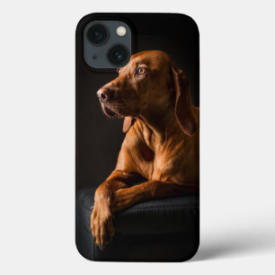 Golden Retriever Purebred Portrait iPhone 13 Case