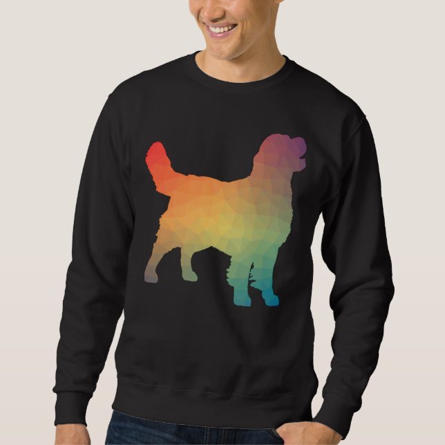 Golden Retriever Rainbow Geometric Sweatshirt (Front)