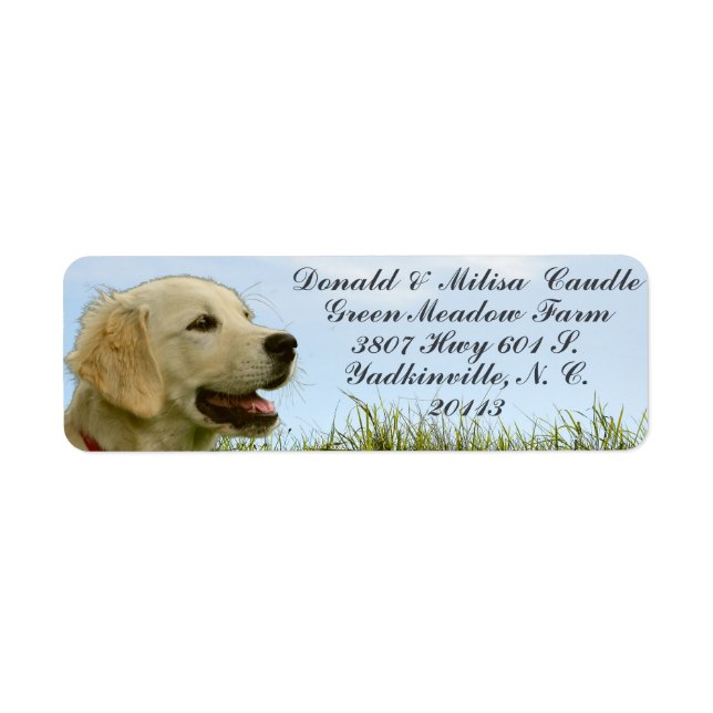  GOLDEN RETRIEVER RETURN ADDRESS LABEL (Front)