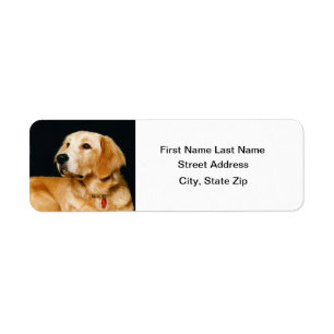 Golden Retriever Return Address Label