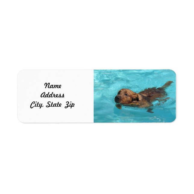 Golden Retriever Return Address Label, Swim Return Address Label (Front)