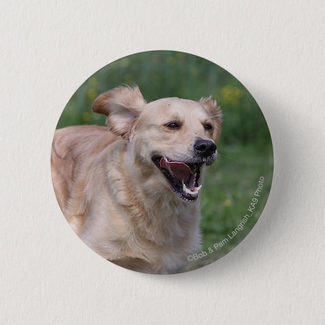 Golden Retriever Running 1 6 Cm Round Badge (Front)
