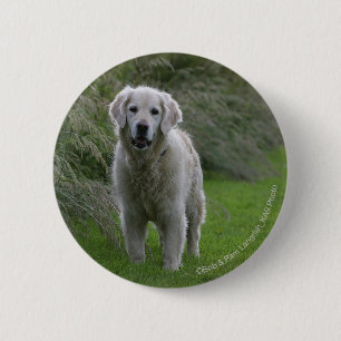 Golden Retriever Running 2 6 Cm Round Badge