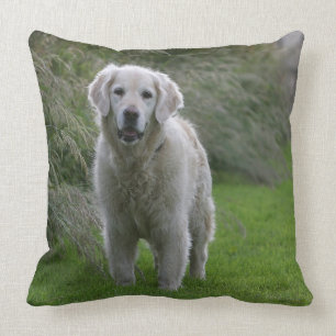 Golden Retriever Running 2 Cushion