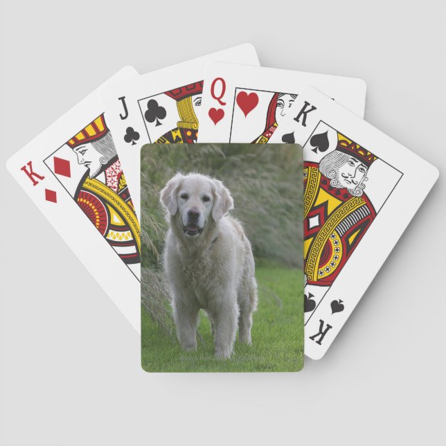 Golden Retriever Running 2 Playing Cards (Back)