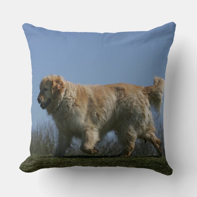 Golden Retriever Running 3 Cushion (Front)