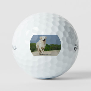 golden-retriever-running at beach golf balls