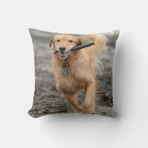 Golden Retriever Running With  Stick In Mouth Cushion