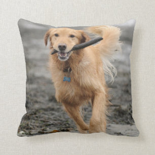Golden Retriever Running With Stick In Mouth Cushion