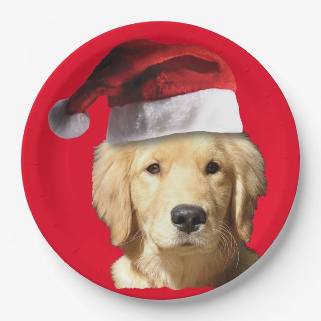 Golden Retriever Santa Claus Paper Plate (Front)