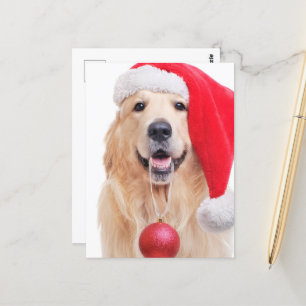 Golden Retriever Santa Hat Postcard